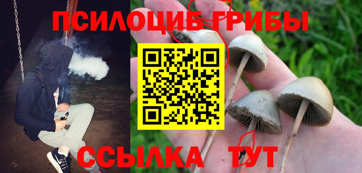 купить   Галлюциногенные грибы GOLDEN TEACHER  Вход с VPN  Сафоново 